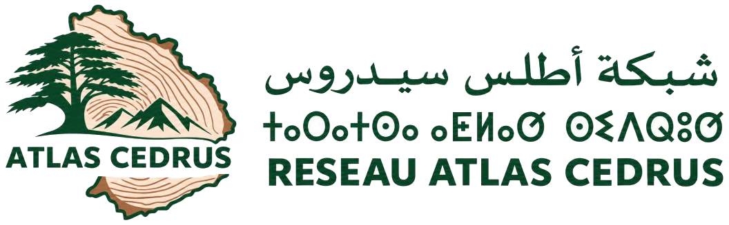 شبكة أطلس سيدروس