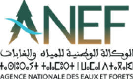 Agence Nationale des Eaux et Forêts (ANEF)
